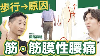 【原因から】筋・筋膜性腰痛の力学的アプローチがわかる！