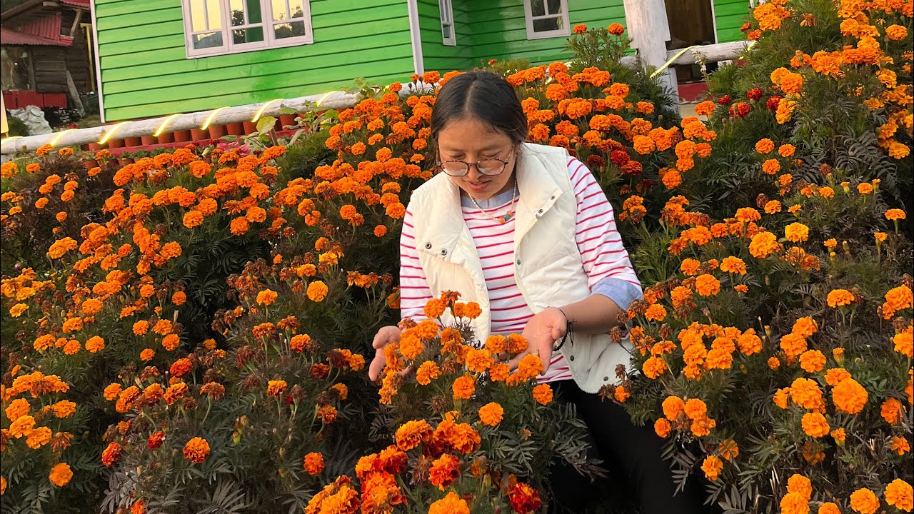 Swami. Park 🇳🇵 