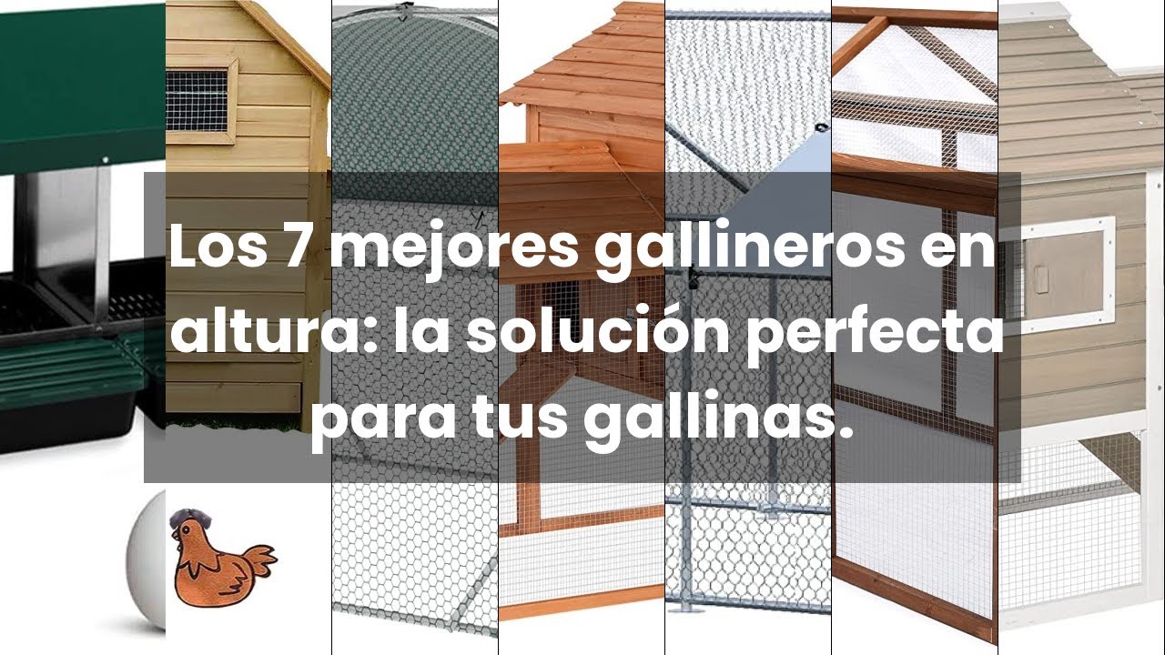 Gallinero de Madera para Exterior Jaula para Gallinas Grande con Zona  Abierta Ponedero Bandeja Extraíble Techo