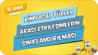 Kimyasal Türler Arası Etkileşimlerin Sınıflandırılması 9.Sınıf Kimya