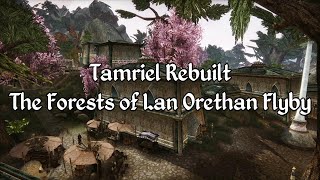 Tamriel Rebuilt - The Forests of Lan Orethan 2020 Showcase