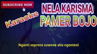 NELLA KARISMA PAMER BOJO KARAOKE NO VOCAL