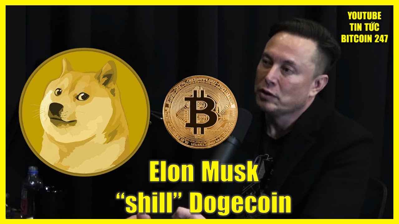 c-voi-t-ch-l-y-s-y-doge-l-n-0-82-usd-elon-musk-l-i-shill