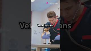 A small portion about DVM👨‍⚕️#doctor