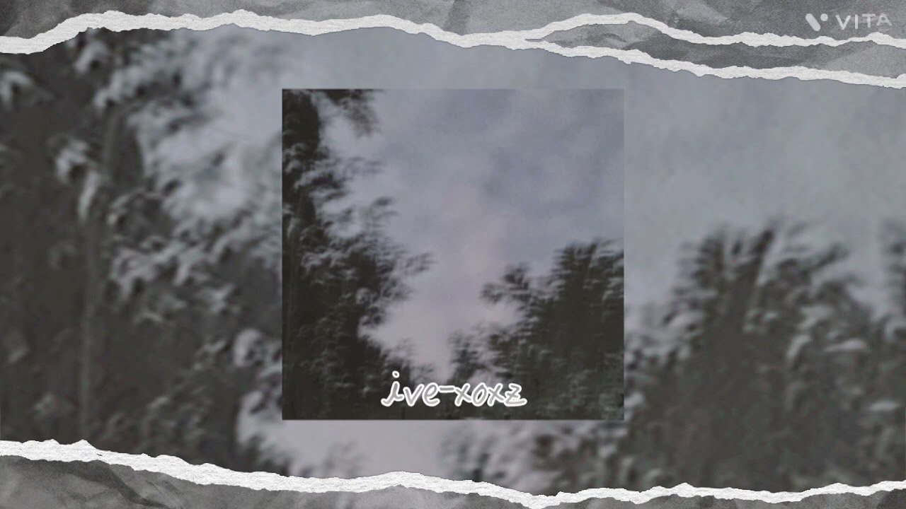 cho's pet pet/vita beauti mood/ive xoxz speed up