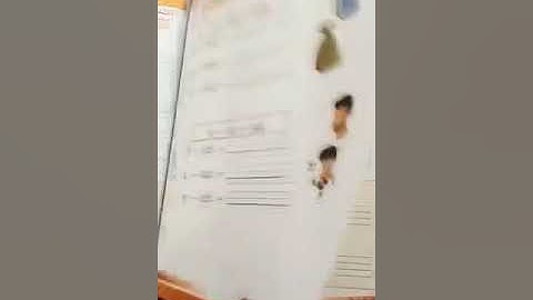 Prep class English video 1