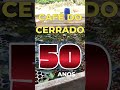 CAFÉ DO CERRADO BRASILEIRO 50 ANOS DE HISTÓRIA E SUCESSO #SHORTS