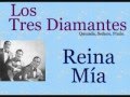 Los Tres Diamantes: Reina Mía  -  (letra y acordes)