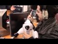 Adam Lambert @ Hallam FM - Fans, Outtakes, Extra Bits and more Bert the Lamb