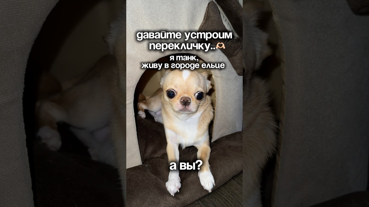 перекличка!…..арт: 171350353  