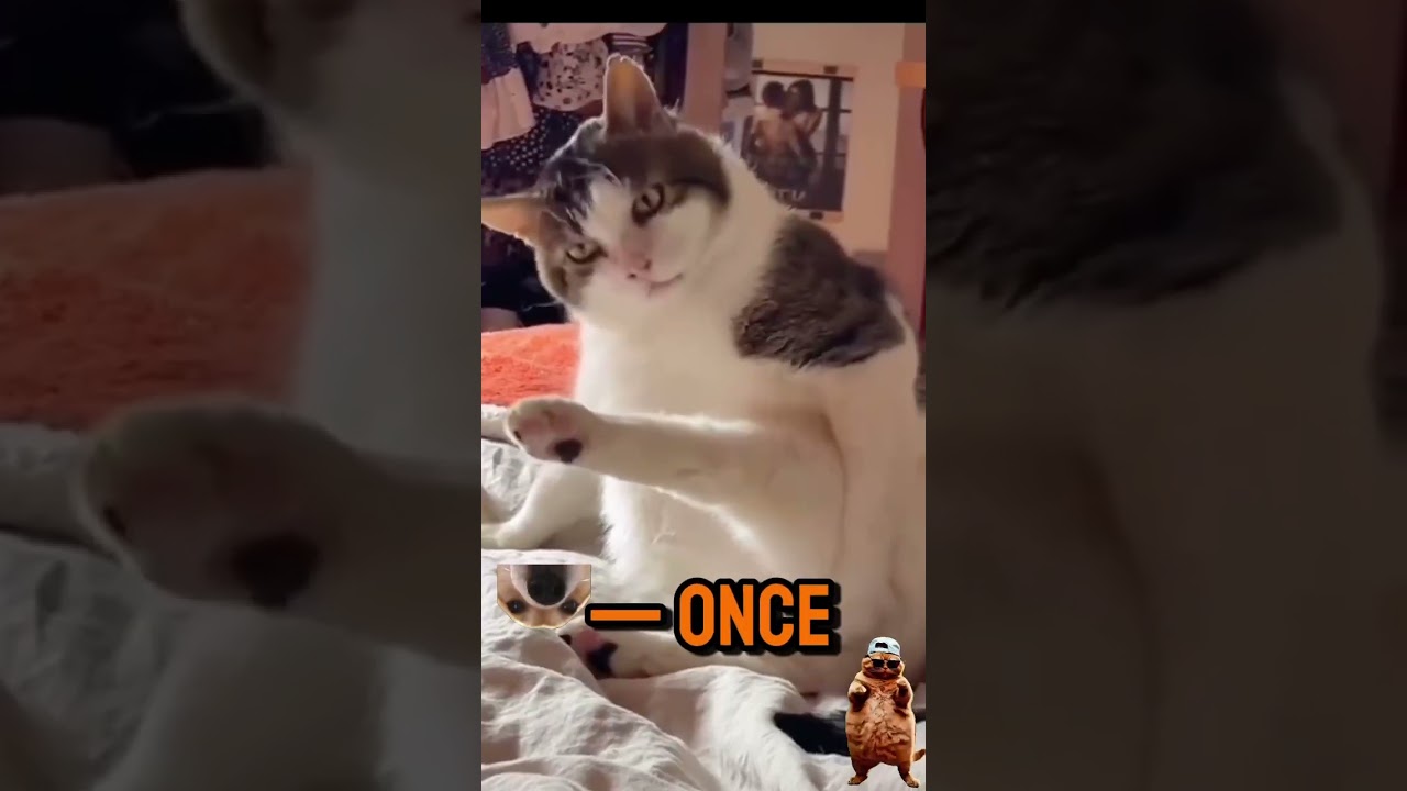 Not lazy. Just energy-efficient 