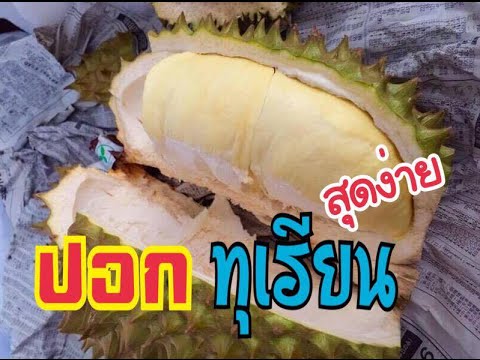 ปอกทุเรียนไม่ยากอย่างที่คิด