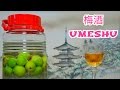 UMESHU - Il liquore di prugne giapponese (videoricetta)