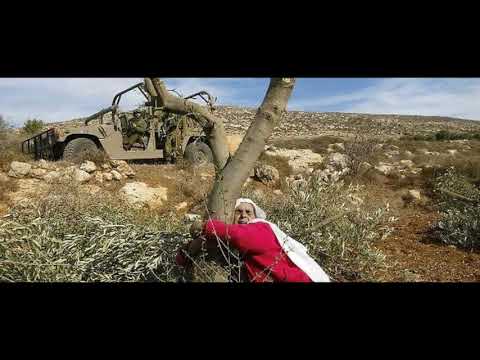    فيروز القدس العتيقة       