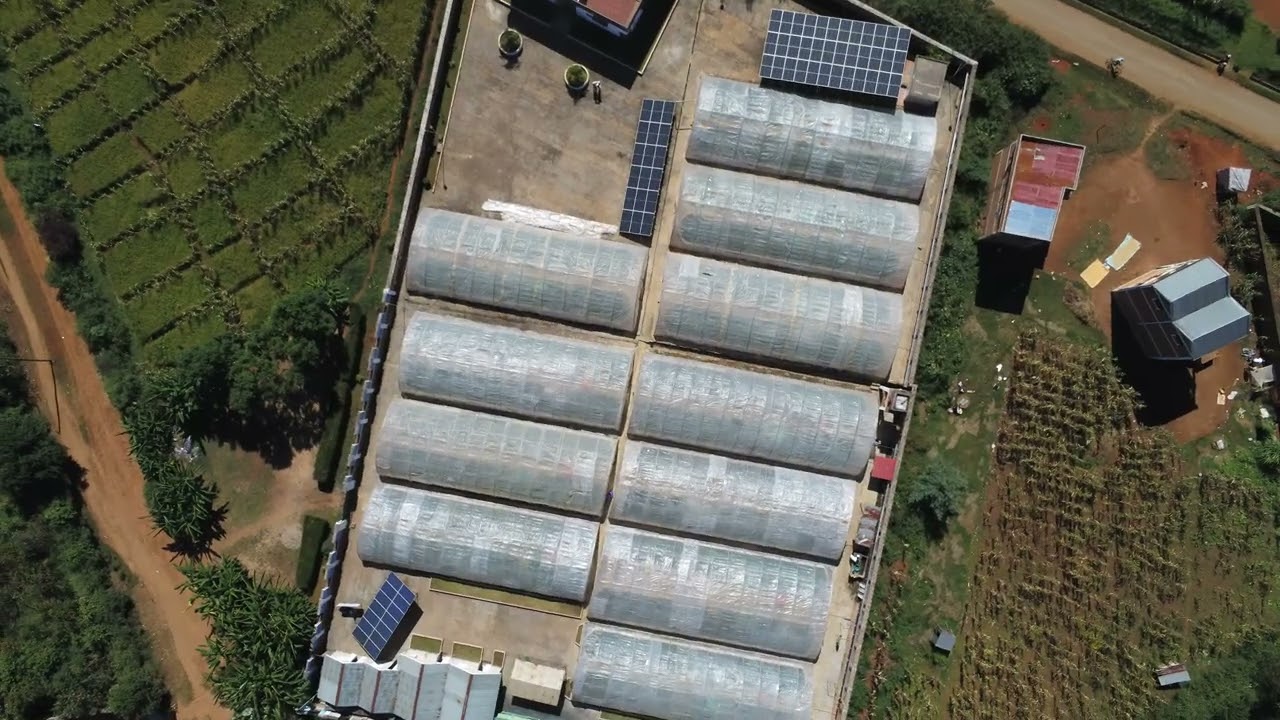 Vue aérienne de la ferme  de spiruline Fanantenana (par Nicolas lors de sa mission en avril 2026).