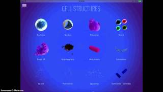 3D Cell App Demonstration screenshot 5
