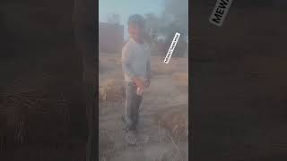 MEWATI Sayan khan