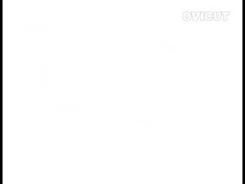 الحياة البنفسجي فاصل كسر تحويل قنوات الحياة مسرحياة فاصل طكا قديم 2009 2019 نادرة جدا