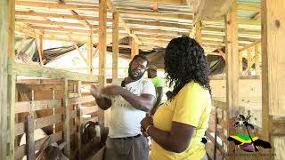 Watch: As we visit Jason's Goat Farm!!