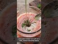 Spiked Watermelon Lemonade — Hydrating, Antioxidant-Rich Summer Sip #Shorts