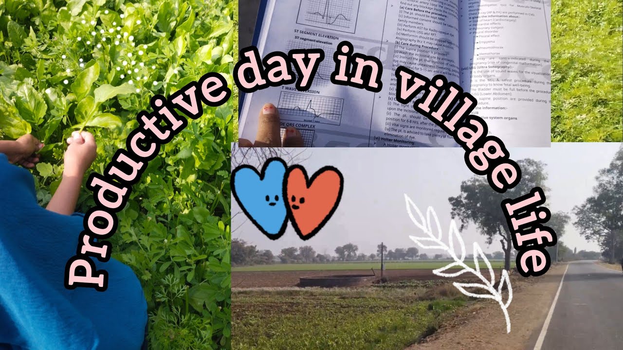 Productive morning study vlog village life style ✨♥️