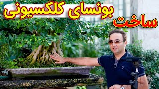 چطور یک بونسای با تنه خیلی ضخیم درست میکنن؟! | آموزش ساخت بنسای