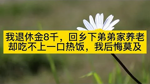 我退休金8千，回鄉下弟弟家養老，卻吃不上一口熱飯，我後悔莫及 - 天天要聞