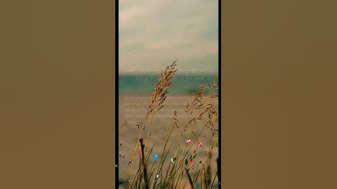 سورة الكهف آية ١٦ | ﴿ وإذ اعتزلتموهم ومايعبدون إلا الله ﴾ | Surah Al Kahf Ayat 16 #qurantranslation