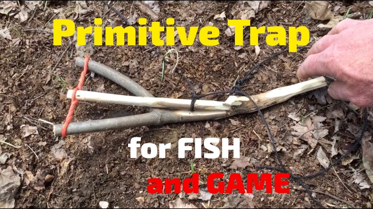 Primitive Trap for Hooking Fish and Snaring Game