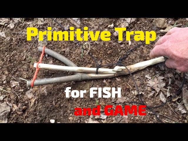 Primitive Trap for Hooking Fish and Snaring Game - YouTube