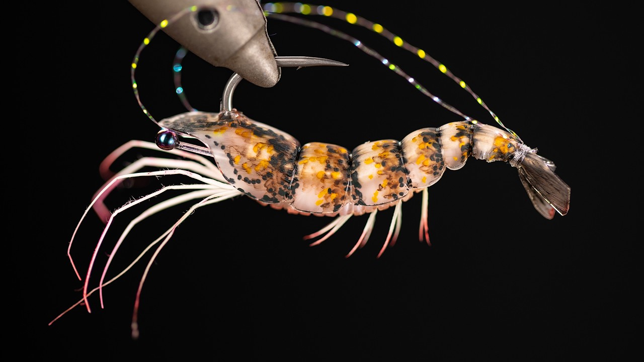 Relaxing Fly Tying: Shrimp Fly