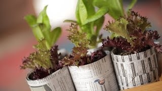 Recycling Project By Robert Kin Community