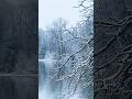 Winter Wonderland. Everything turned White and frozen. At the edge of Pacific Ocean