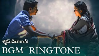 Shyam Singha Roy BGM - Climax BGM | Shyam Singha Roy Emotional BGM | Sirivennela Song BGM💖