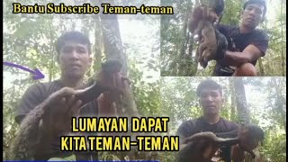 UKLIK PCP KREATOR PEMULA || HUNTING TUPAI HITAM DAERAH HUTAN BORNEO SAPE( 3  POIN ) screenshot 5