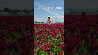 5月の晴れた日、内灘 石川県河北郡内灘町