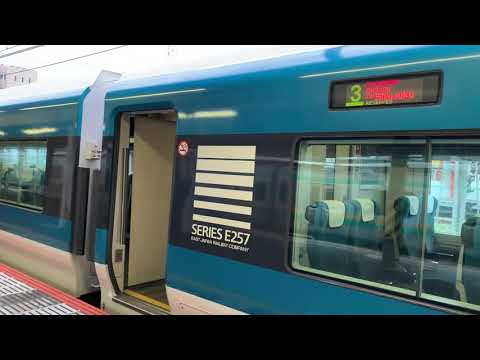 【JR東日本】JR東海道線小田原駅6番線　E257系2000番台特急湘南22号新宿行きの発車シーン