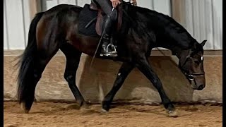 Art2Ride Virtual Lesson 115