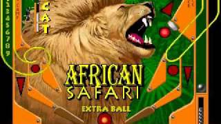 Epic Pinball - African Safari
For a bonus table, this rather sucks. It has Magic written all over it with its wide drain and somewhat bad mechanics. :P Epic Pinball - African Safari