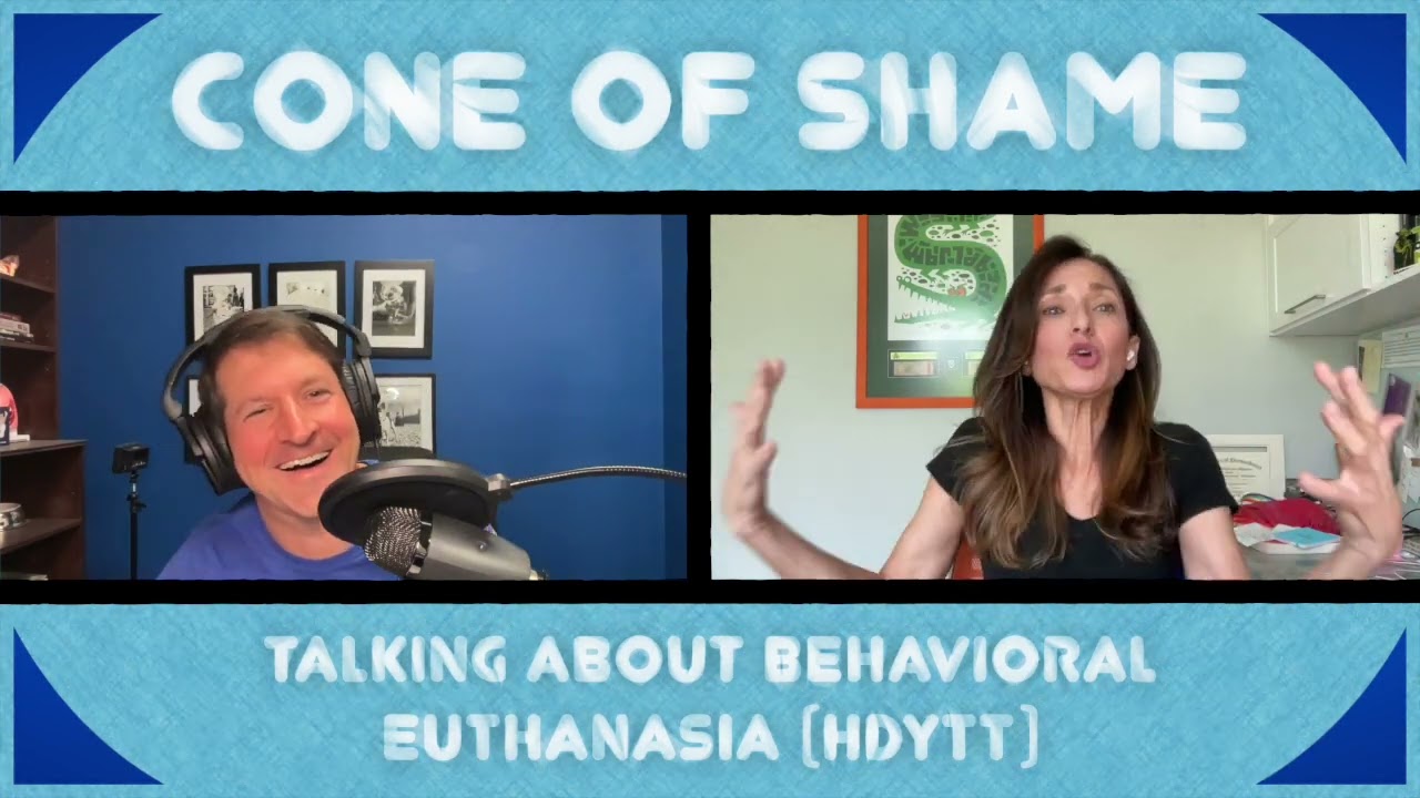 COS - 219 - Talking About Behavioral Euthanasia (HDYTT)