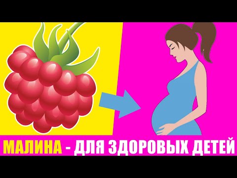 Видео: Ваша потребность знать о чае листьев малины во время беременности