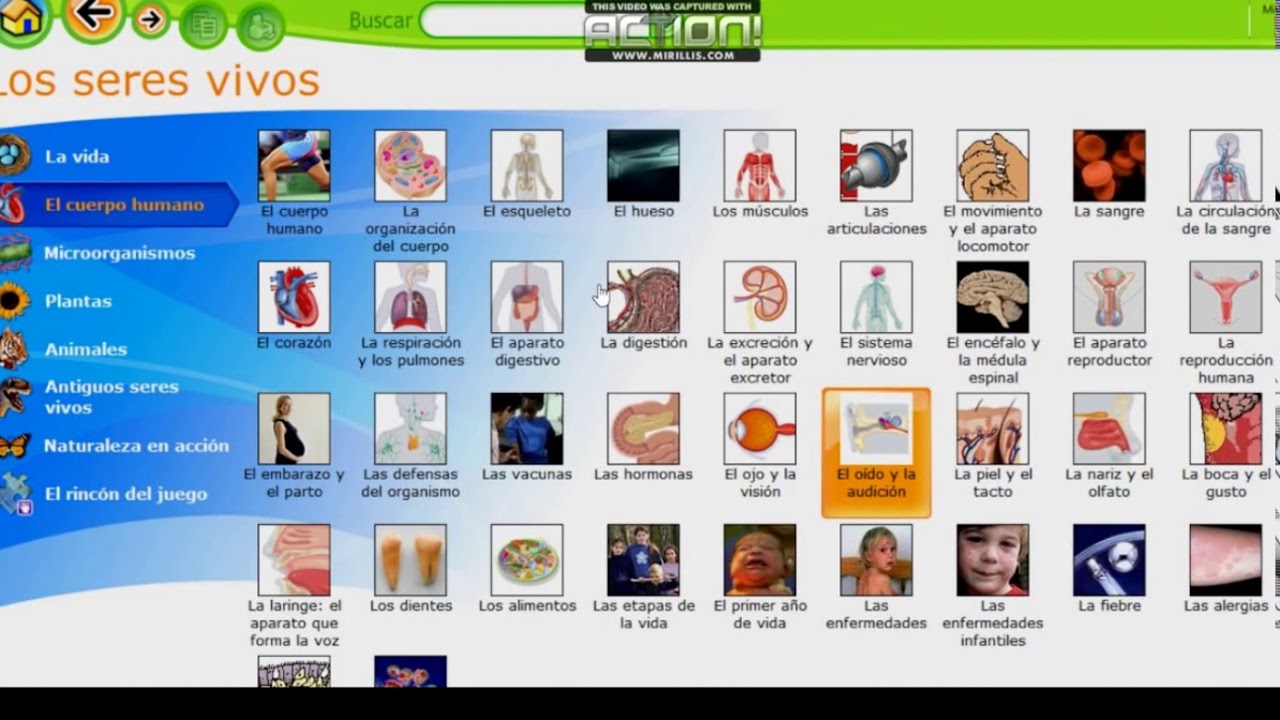 Encarta free. download full version Encarta free. download full version