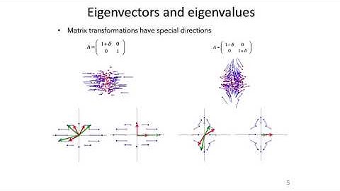 Introduction to Neural Computation - MIT - Lec 17