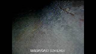 907 SW Hedgewood