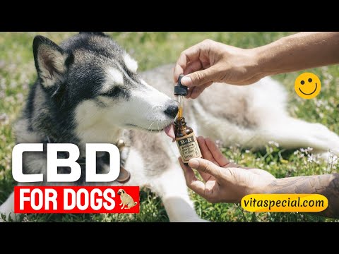 Life Gold Farms Cbd Gummies Review How Does It Really Work Price Ingredients And Where To Buy