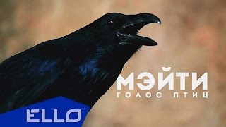 Мэйти - Голос птиц / ELLO UP^ /