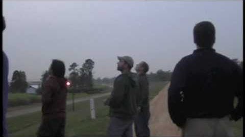 Tree Swallow Torrent