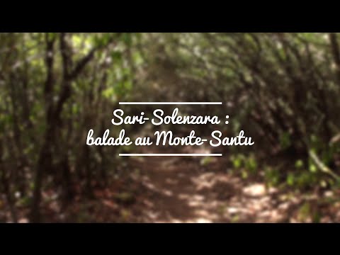 Sari - Solenzara : balade au Monte Santu