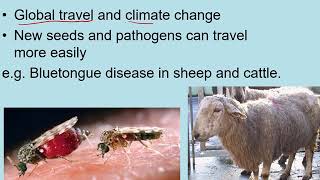 B18.10 Factors affecting food security AQA GCSE Biology