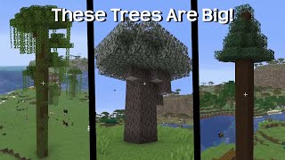 Every Tree In Minecraft That Needs More Than 1 Sapling To Grow!